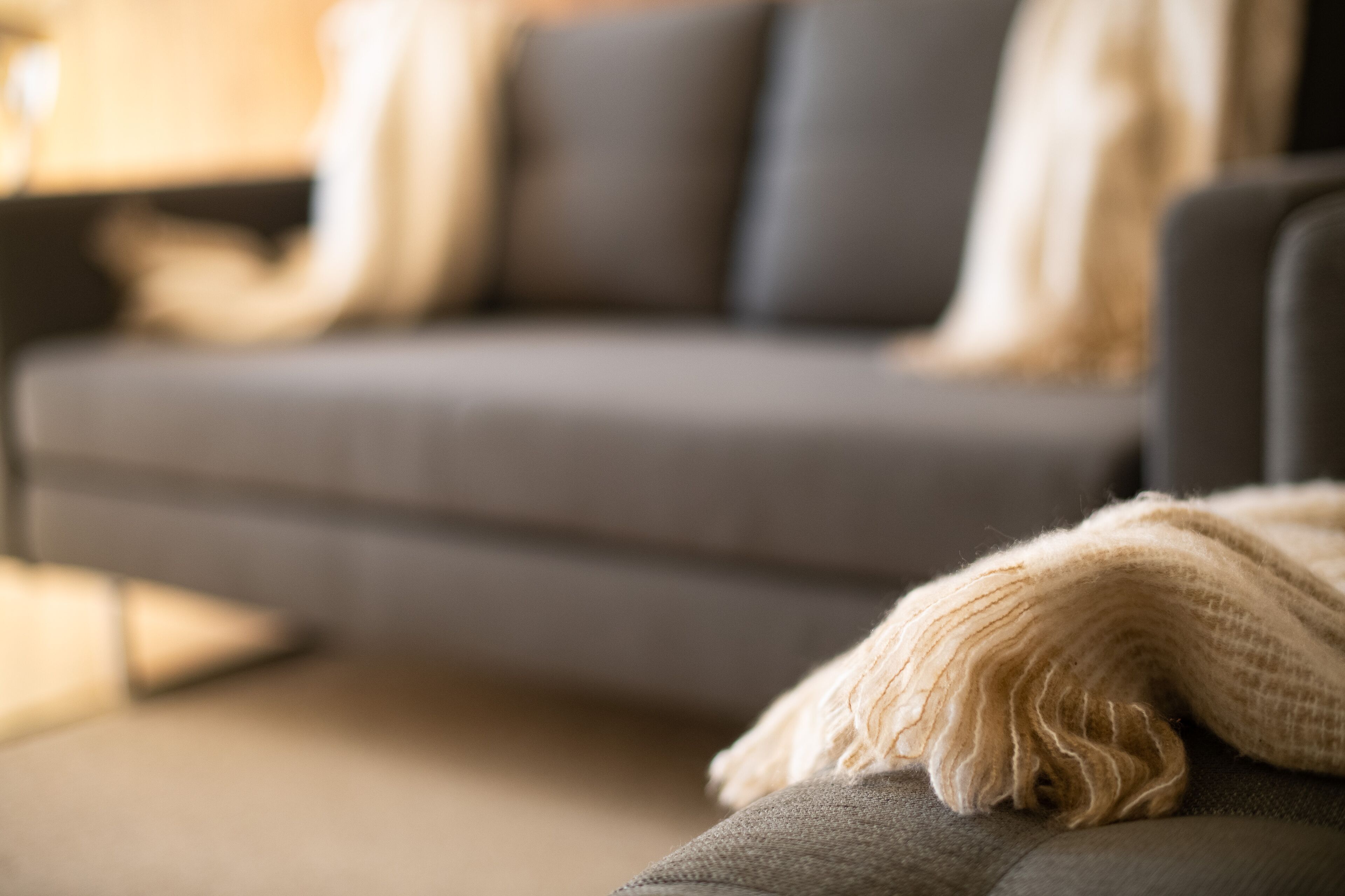 Snow and Lake Townhouse Apartment — image 15