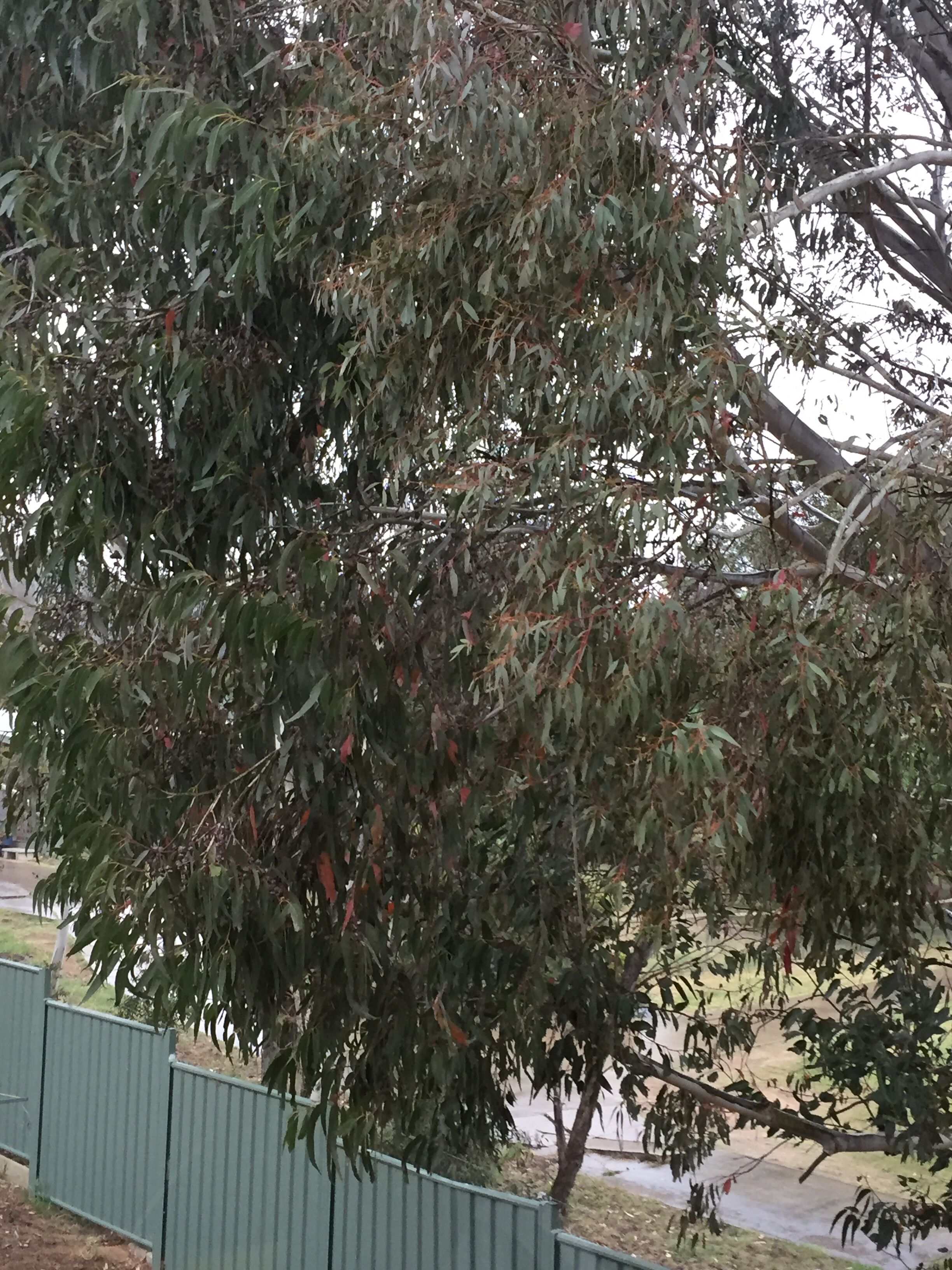 Snow and Lake Townhouse Apartment — image 28