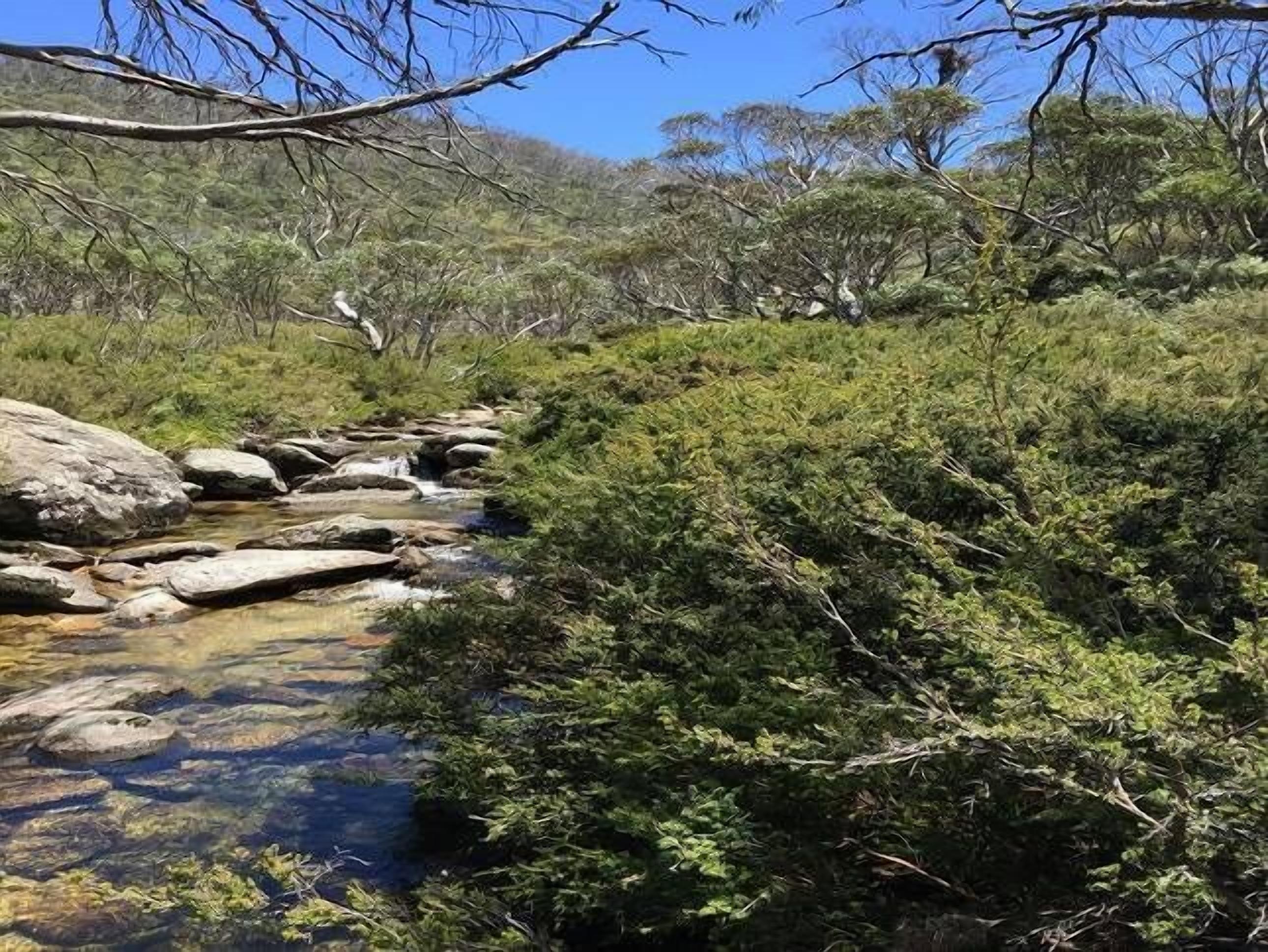 Snow and Lake Townhouse Apartment — image 27