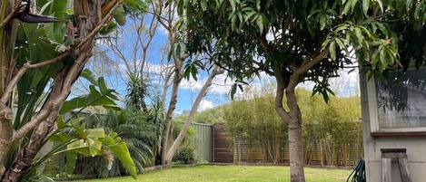 Área da propriedade