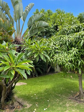 Property grounds - Ruby Tuesday - Little Beach House (Anna Bay)