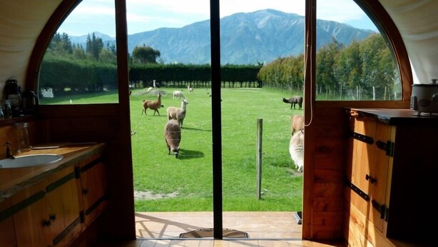 A rustic cabin interior with a large arched window overlooking a grassy field with sheep.