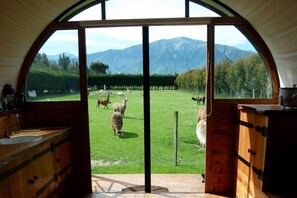 A rustic cabin interior with a large arched window overlooking a grassy field with sheep. - COLONIAL WAGON + sleepout - Wacky Stays - 6 UNIQUE rentals in Kaikoura (Kaikoura Township)