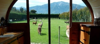 COLONIAL WAGON + sleepout - Wacky Stays - 6 UNIQUE rentals in Kaikoura
