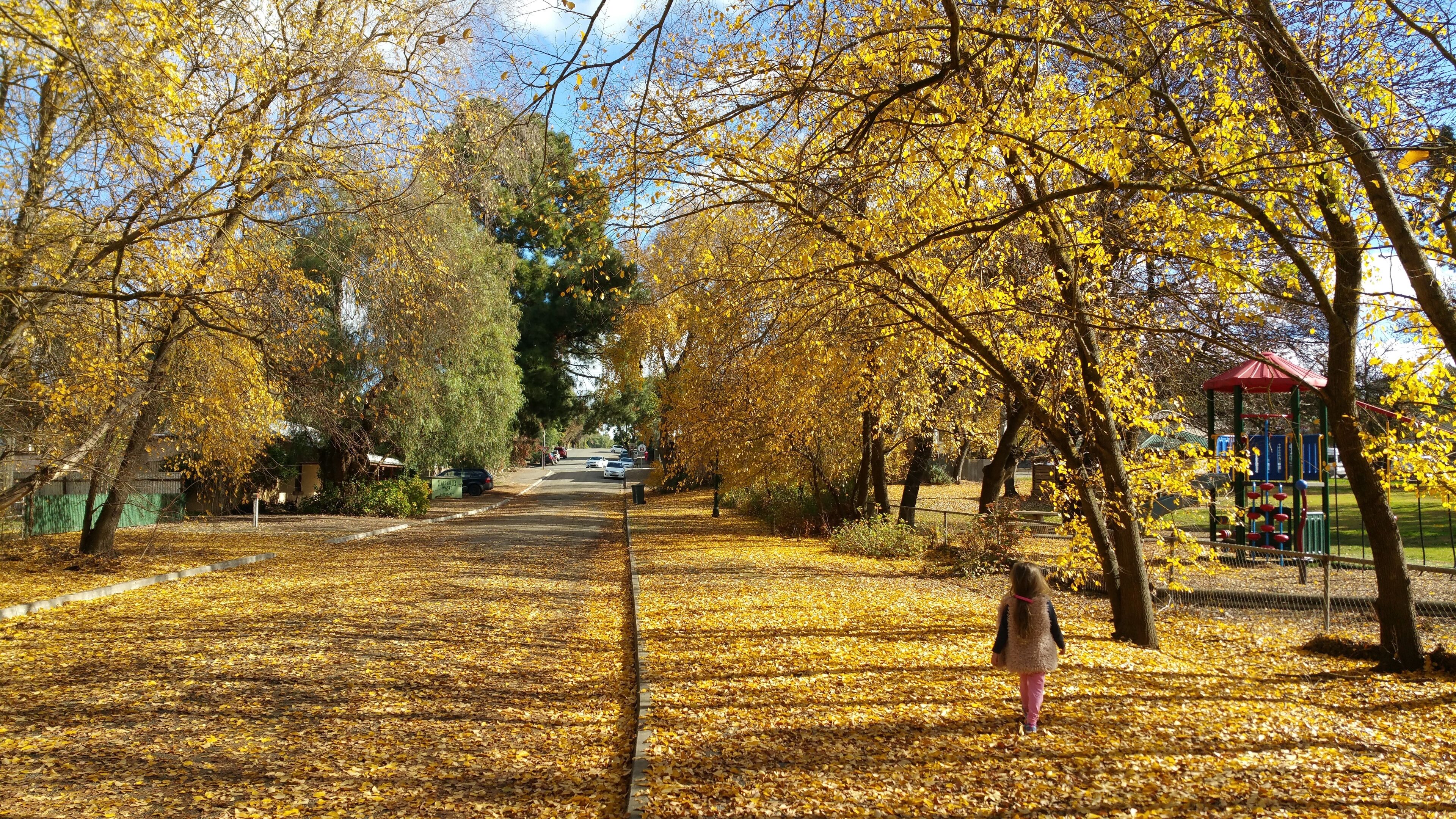 One bedroom cottage in the beautiful Clare Valley — image 29