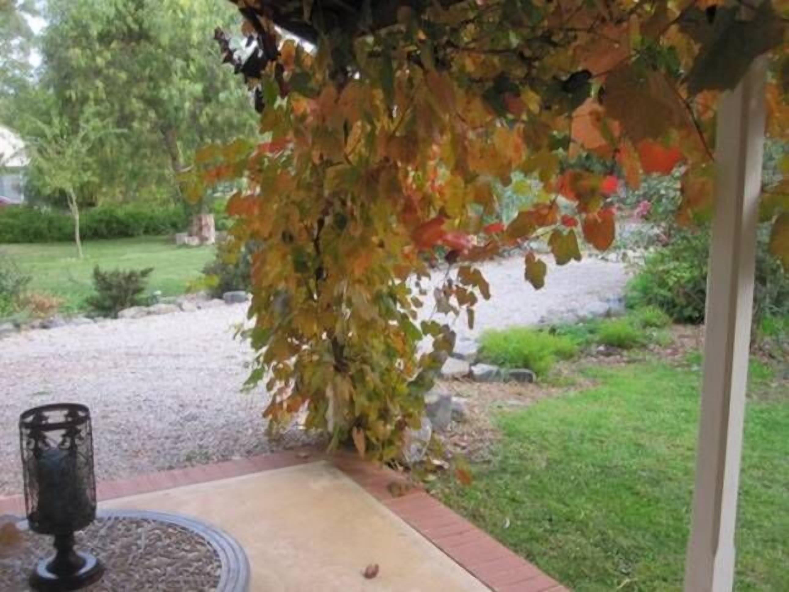 One bedroom cottage in the beautiful Clare Valley — image 22