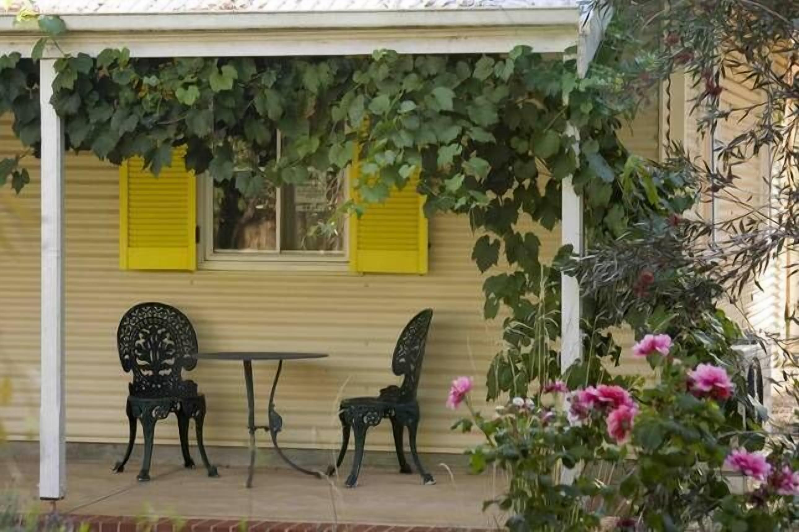 One bedroom cottage in the beautiful Clare Valley — image 2