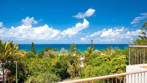 A balcony with a view of the ocean and tropical vegetation.