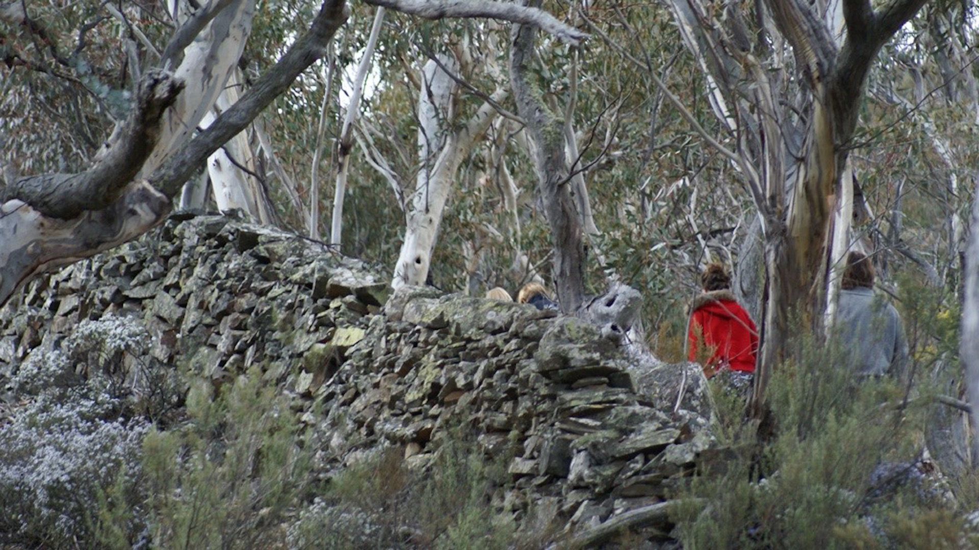 Farmhouse on Top of Varneys Range close to Snowy Mountains & Jindabyne — image 20