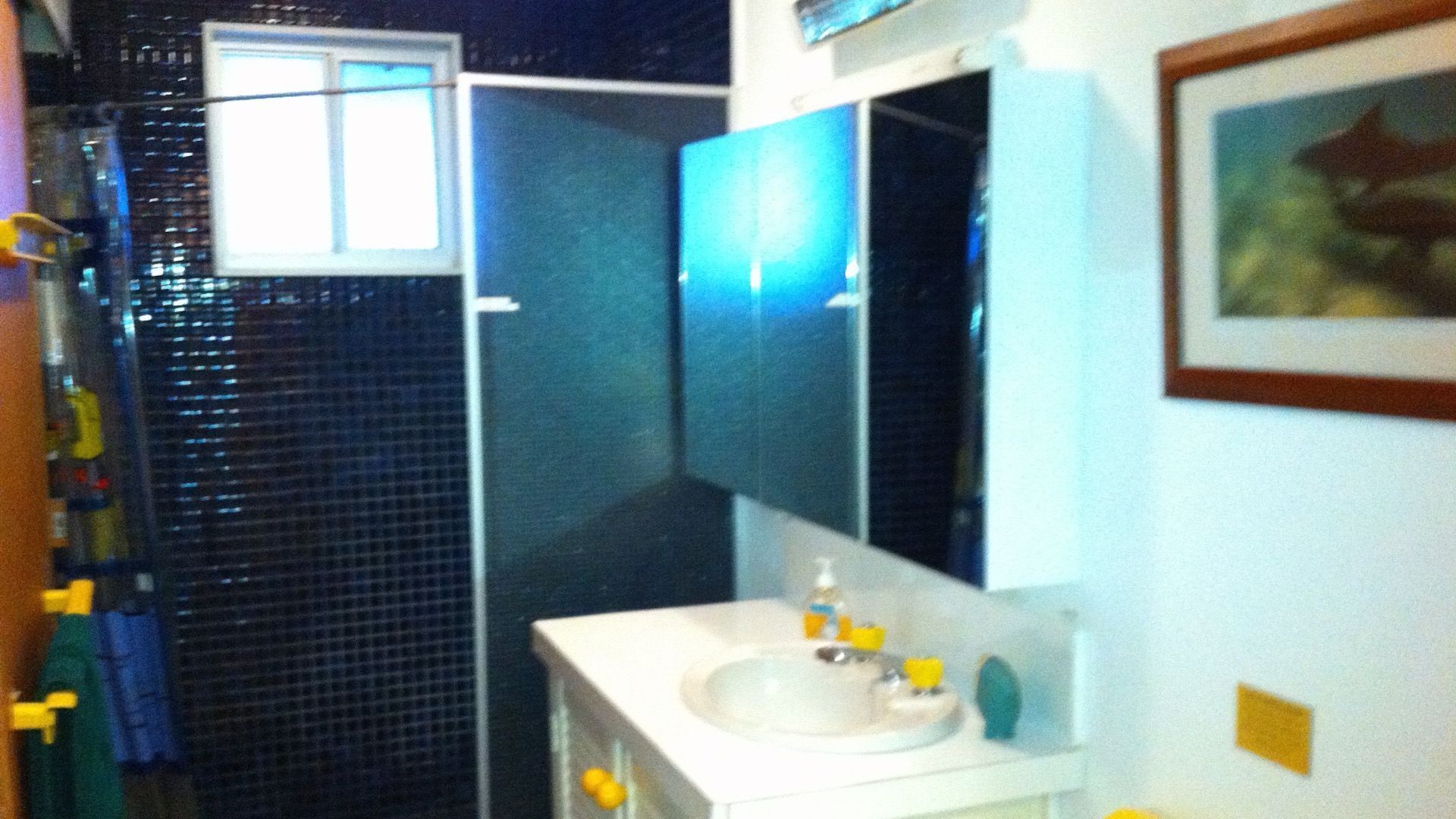 Farmhouse on Top of Varneys Range close to Snowy Mountains & Jindabyne — image 12