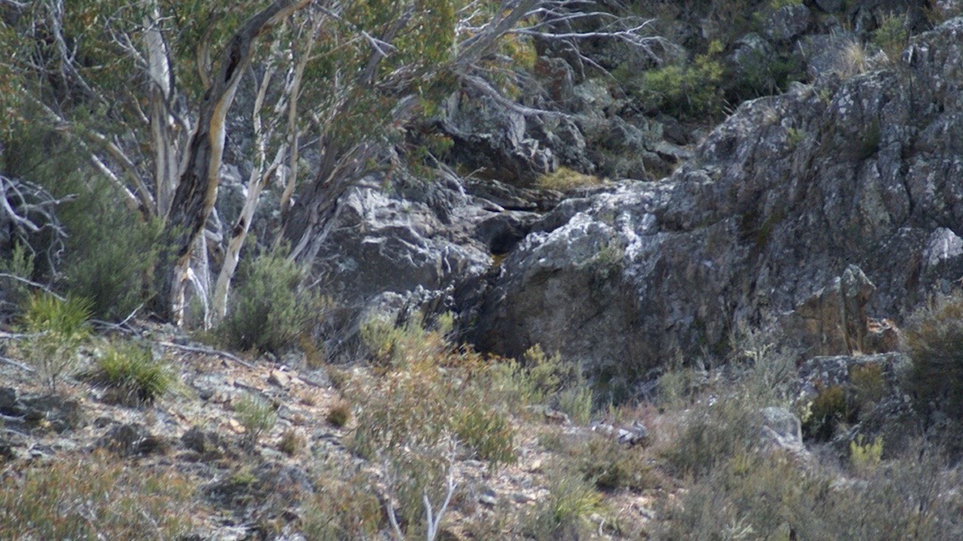 Farmhouse on Top of Varneys Range close to Snowy Mountains & Jindabyne — image 21