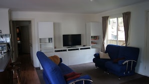 TV, fireplace, video games, DVD player
