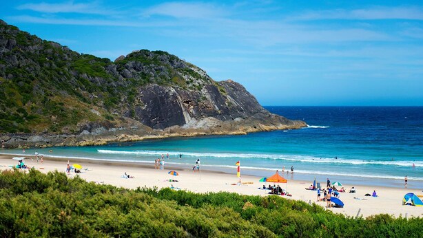 Een strand met mensen, parasols en tenten.