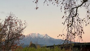 Ein Gebirge mit schneebedeckten Gipfeln, ein Holzzaun und dichtes Grün im Vordergrund.
