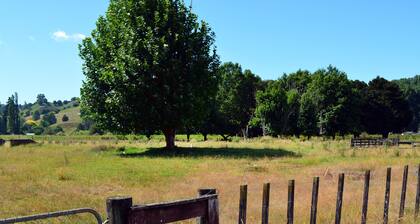 Riverlea Cottage and Art Stay Taumarunui Ruapehu
