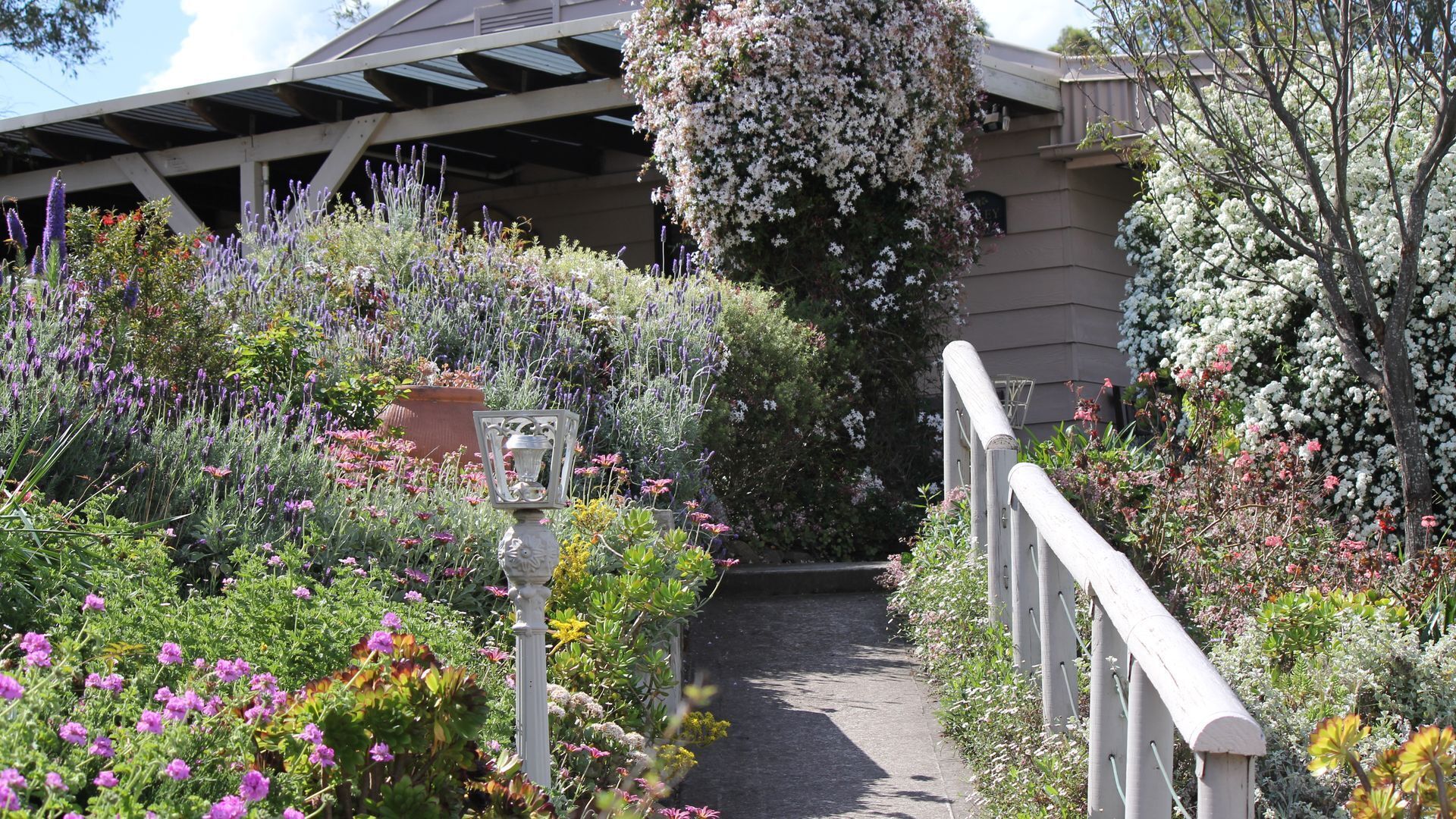 Valley View Cottage & Acres Hunter Valley Wine Region — image 18