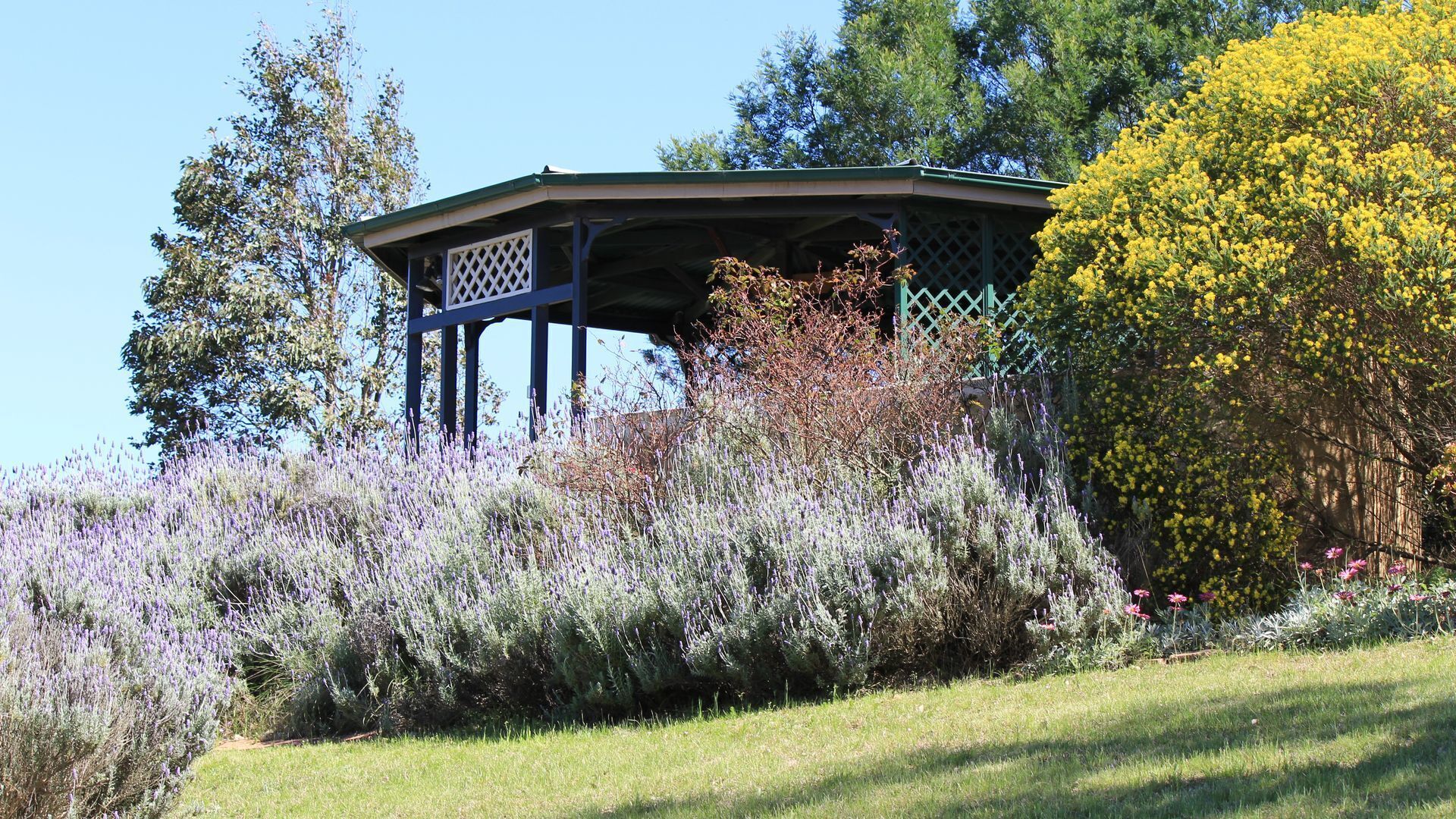 Valley View Cottage & Acres Hunter Valley Wine Region — image 19