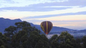 Une montgolfière survolant un paysage composé d’arbres et de collines.