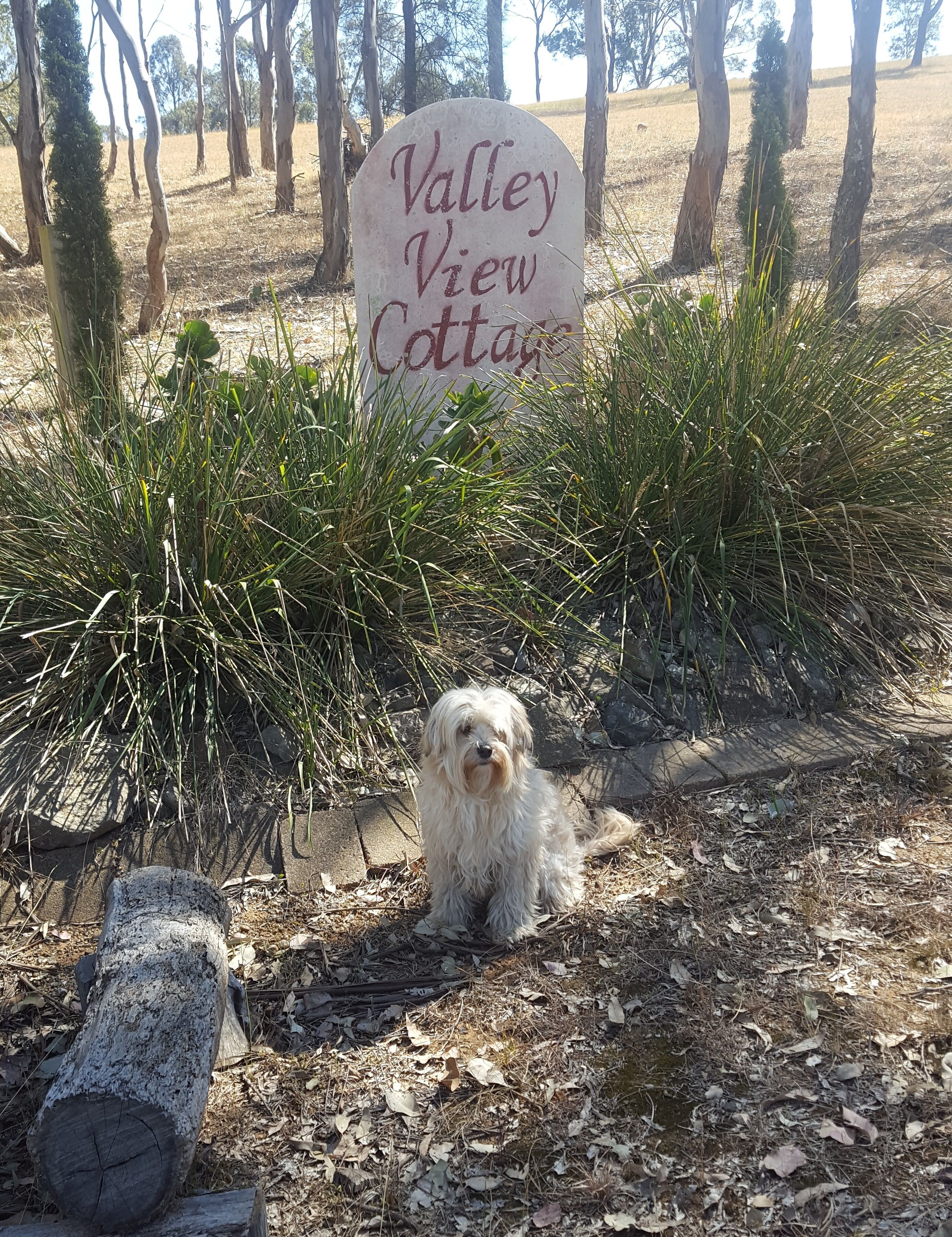 Valley View Cottage & Acres Hunter Valley Wine Region — image 23