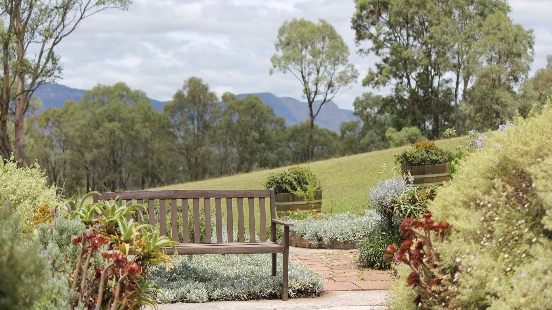 Valley View Cottage & Acres Hunter Valley Wine Region — image 22