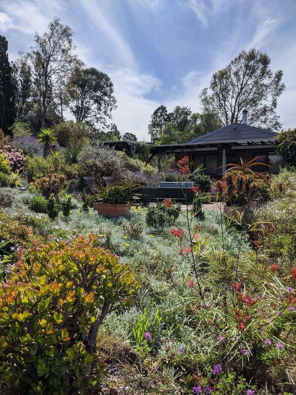 Property grounds - Valley View Cottage & Acres Hunter Valley Wine Region (Pokolbin)