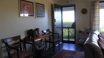 TV, lareira, DVD player, livros