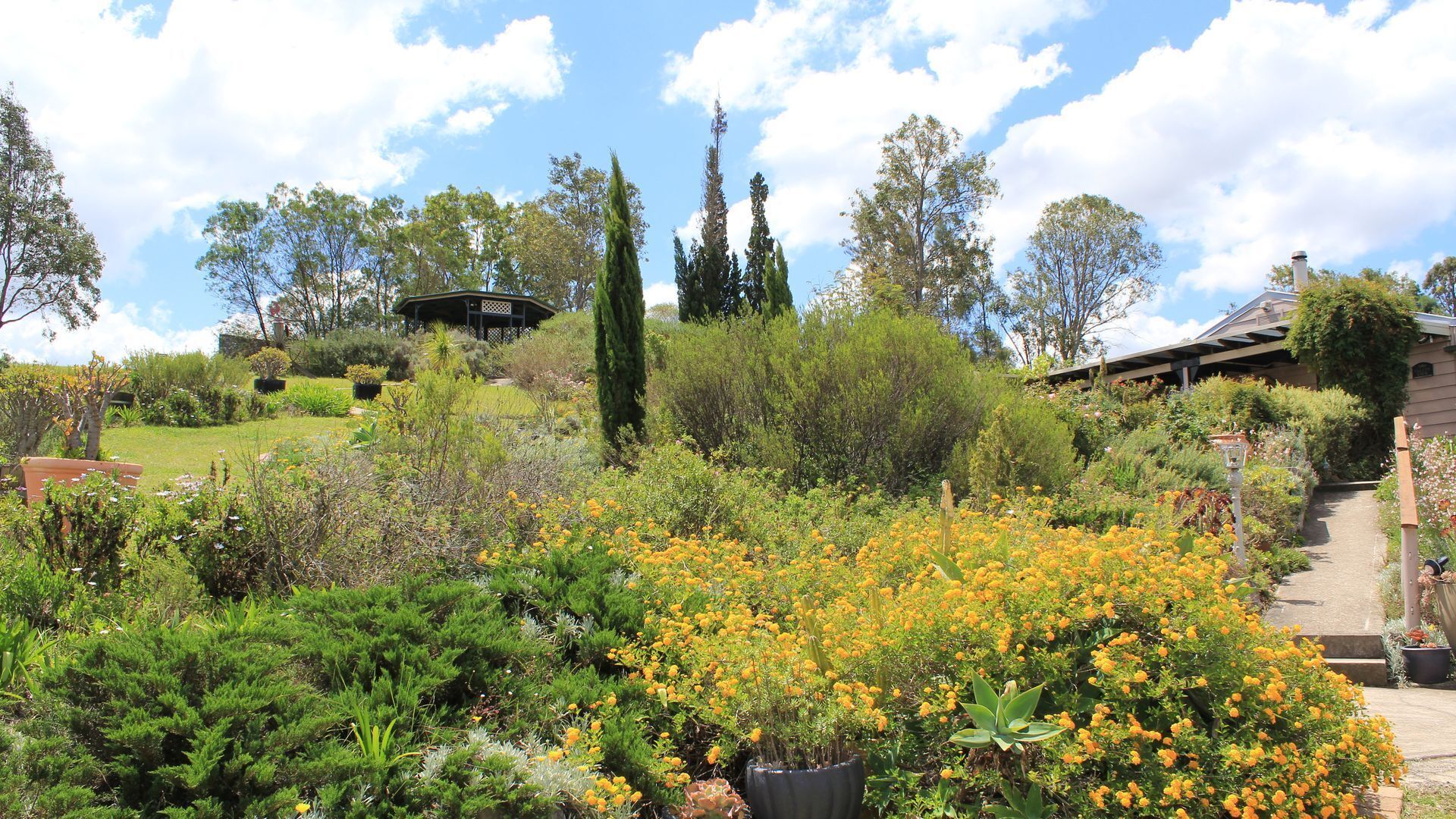 Valley View Cottage & Acres Hunter Valley Wine Region — image 21