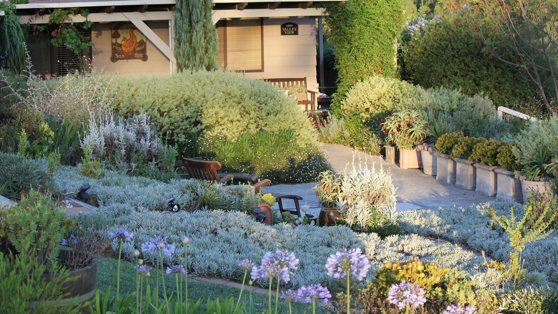 Valley View Cottage & Acres Hunter Valley Wine Region — image 24