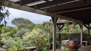 Zona de porxo coberta amb una pèrgola, plantes en testos, una barbacoa i una taula de fusta.