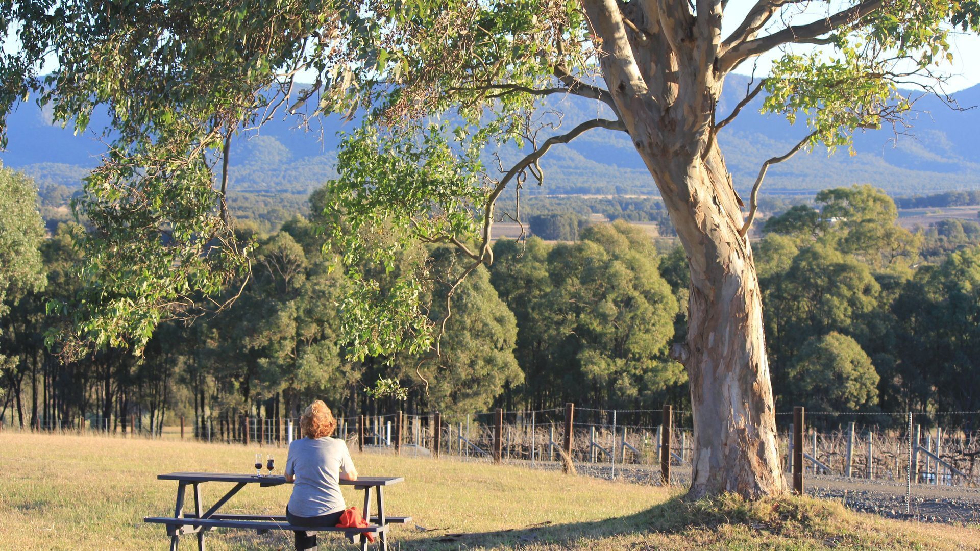 Valley View Cottage & Acres Hunter Valley Wine Region — image 26