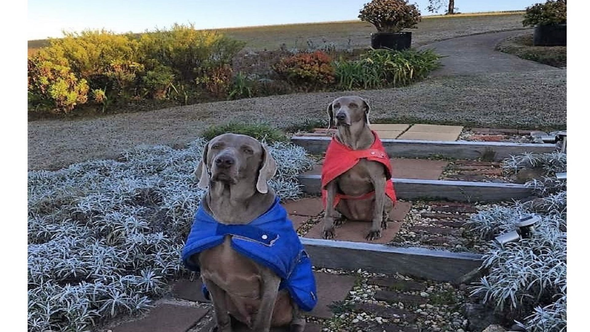 Valley View Cottage & Acres Hunter Valley Wine Region — image 28