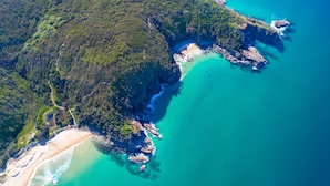 Vista aérea de una zona costera con denso bosque, aguas turquesas cristalinas y una playa de arena.