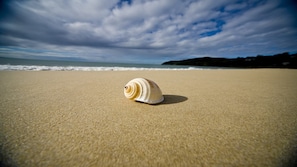 A seashell on a sandy beach with a view of the ocean and a cloudy sky. - Domani - Large Townhouse with Ocean Views (Sunshine Beach)