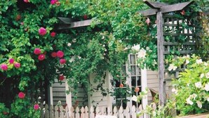A wooden fence with a sign reading "Renovation Entrance."