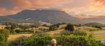 Eagles Nest Retreat - Nest 1 Romantic Stay in Tasmania