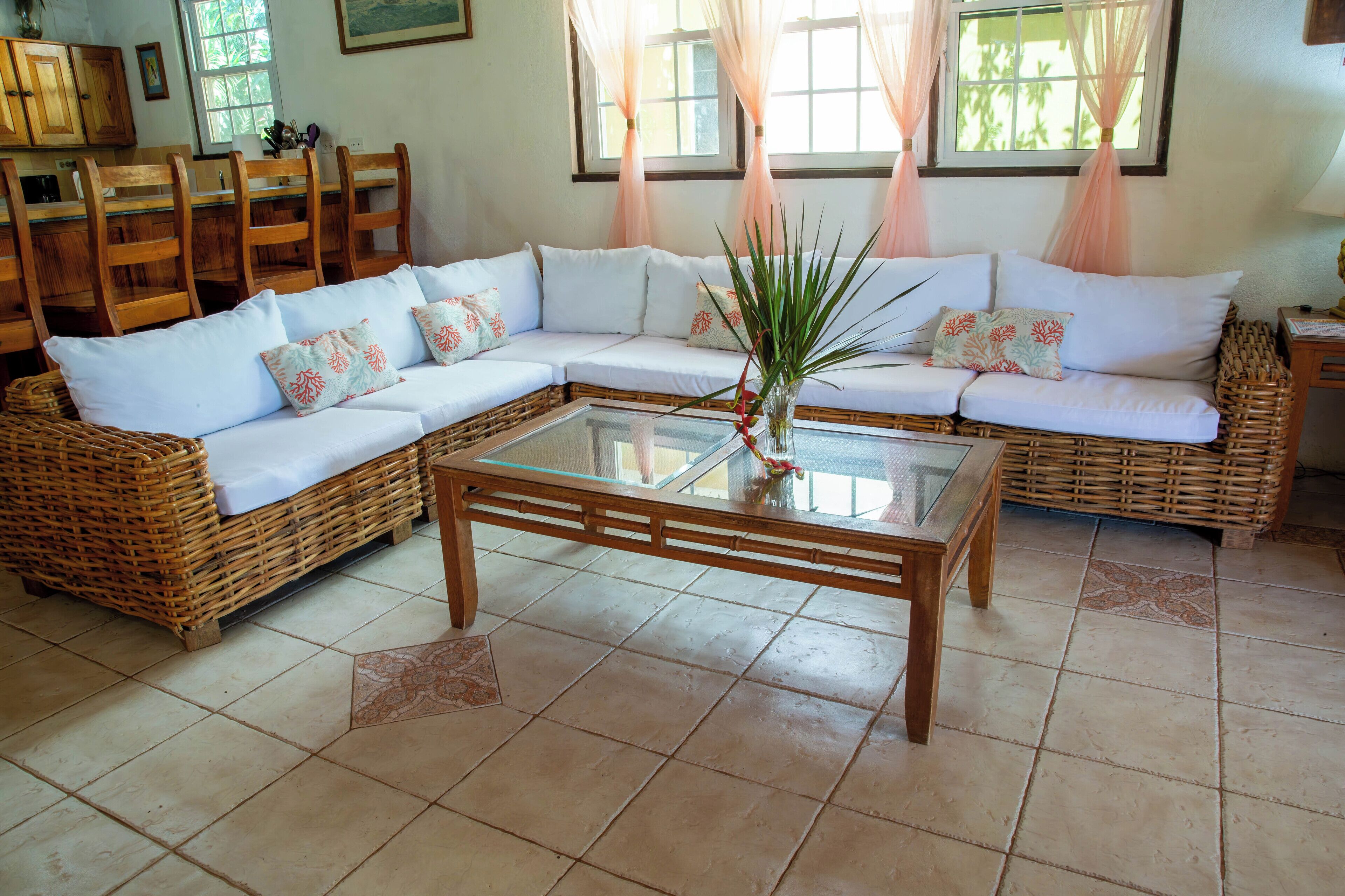 Smart TV, libros, videoteca y estéreo 