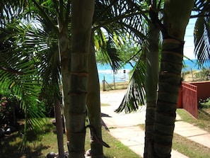Property grounds -  Zero minutes to the most prestigous cove in the area (Treasure Beach)