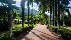 A brick pathway leading through a lush garden with palm trees and a building in the background.