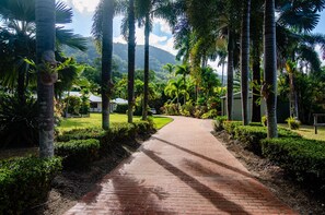 Property grounds - Stunning Family Resort Style Home - Swimming Pool + Full Tennis Court (Kewarra Beach)