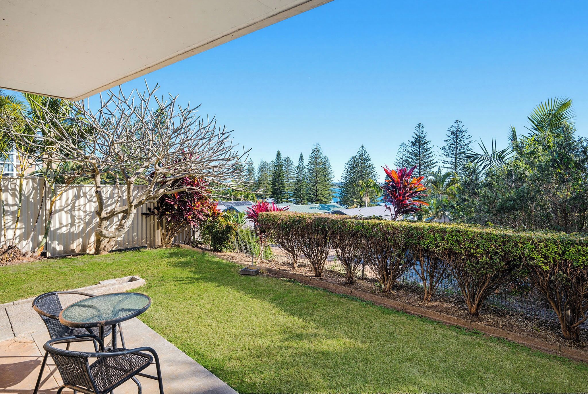 A patio area with a table and chairs, a well-maintained lawn, and a variety of trees and shrubs.