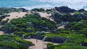 Eine Küstenlandschaft mit Sandstrand, dichter grüner Vegetation und Blick auf den Ozean, wo Wellen auf die Küste branden.