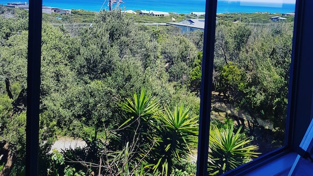 Blick durch ein Fenster auf eine üppige Landschaft mit blauem Himmel, einem Gewässer und einer entfernten Strommast-Konstruktion.