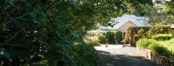 Willows at Kurrajong Luxury Loft Suite