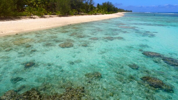 A beach with clear turquoise water and visible coral formations. - Tuteveras' Arms - Arorangi (Arorangi)