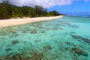 A beach with clear turquoise water and visible coral formations.