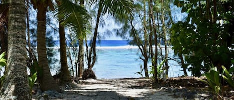 Plage à proximité, serviettes de plage