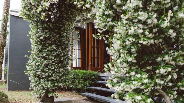A pathway leading to a wooden door surrounded by lush greenery and white flowers.