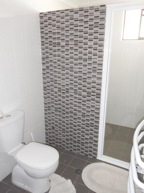 Shower, towels, toilet paper