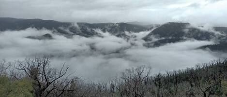A mountainous landscape with dense forests and a valley shrouded in clouds.