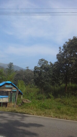 Unclassified image, 3 of 6, button - The home stay in nature's castle (Thirunelly, Mananthavady,  Kalpetta)